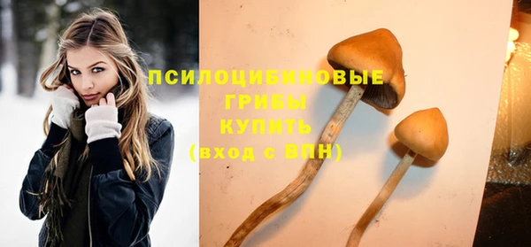 круглые Алзамай