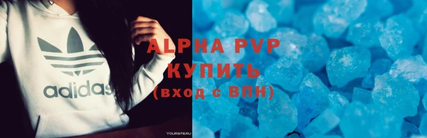 стаф Алексин