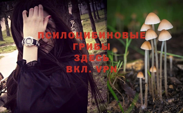 стаф Алексин
