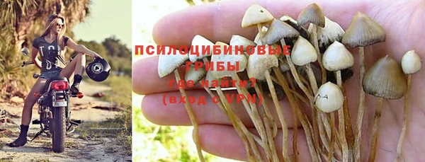 круглые Алзамай