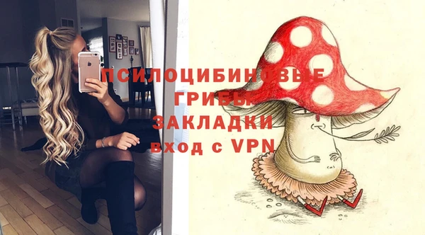 бутират Алексеевка