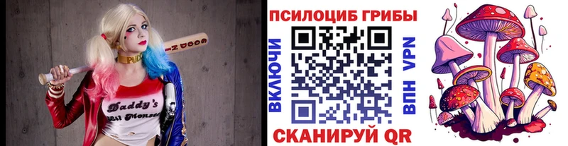 наркотики  Невинномысск  Псилоцибиновые грибы MAGIC MUSHROOMS 