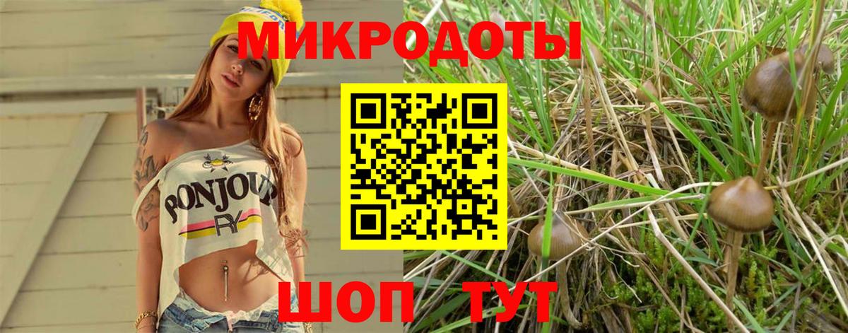 Псилоцибиновые грибы Cubensis Невинномысск