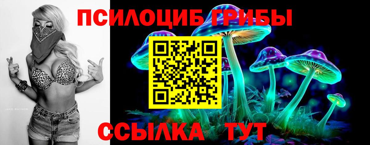 Невинномысск  Псилоцибиновые грибы прущие грибы  Вход с VPN 